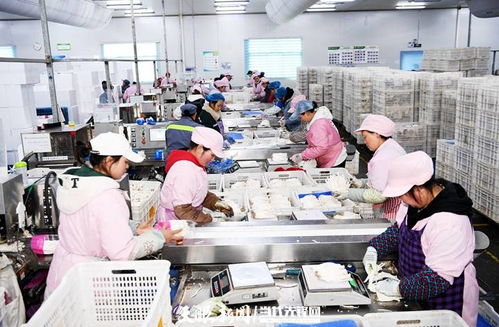 日產(chǎn)量達(dá)70噸，產(chǎn)值60余萬(wàn)元 工廠化種植食用菌助農(nóng)增收的技術(shù)開(kāi)發(fā)與實(shí)踐